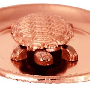 Copper Wish Fulfilling Tortoise