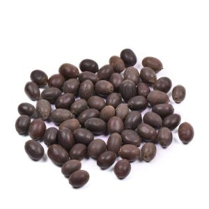 Kamal Gatta Seed