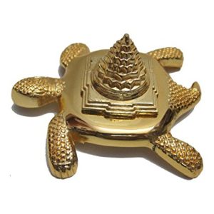 Tortoise Meru Shree Yantra
