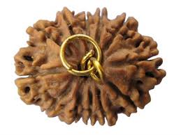 rudra